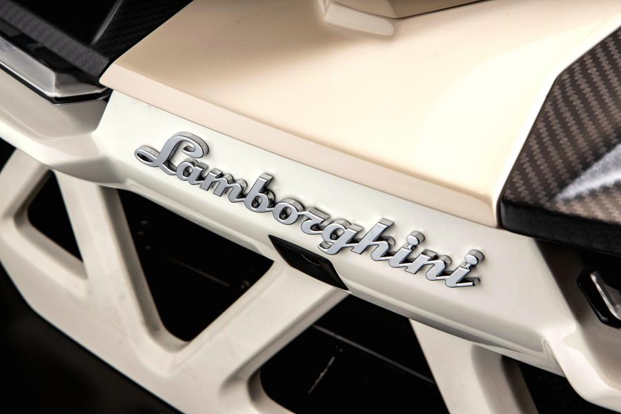 Логотип Lamborghini Veneno Roadster 2014 года  (фото 26 из 36)